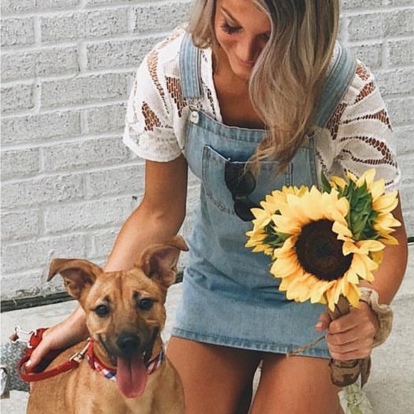 ✨Denim Overall Mini Dress✨ - Picture 2 of 2